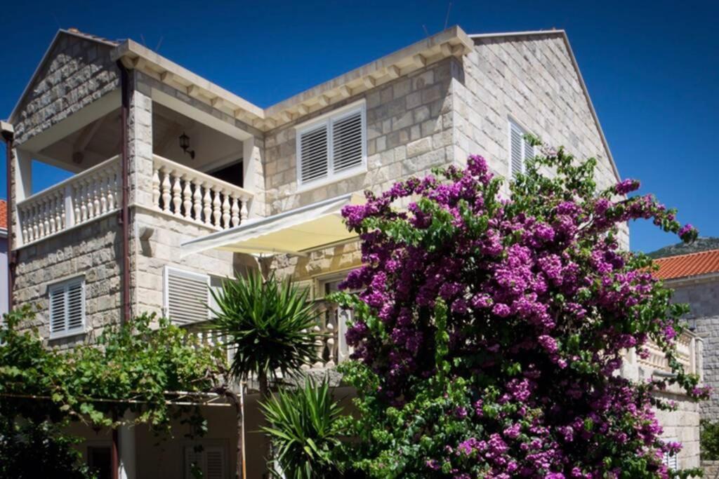 קאבטאט Relax Comfy Cozy Apartment מראה חיצוני תמונה